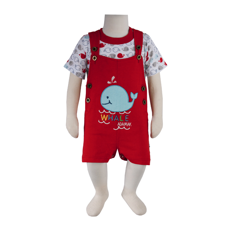 سرهمی شورتی