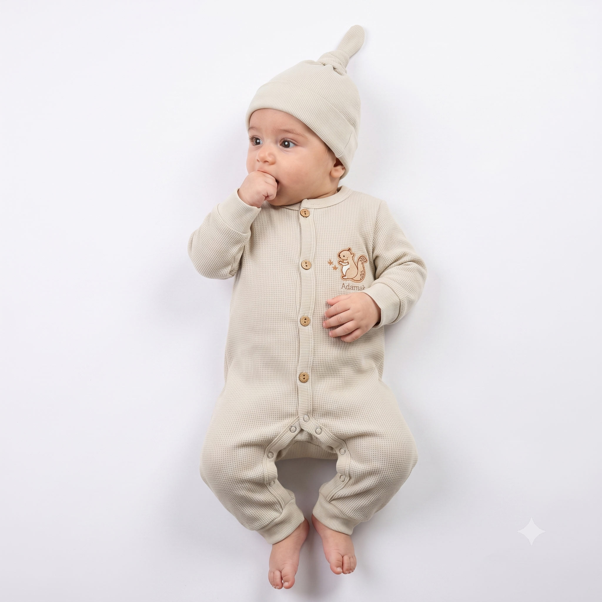 سرهم مچدار بيسكويتي سنجاب کرم